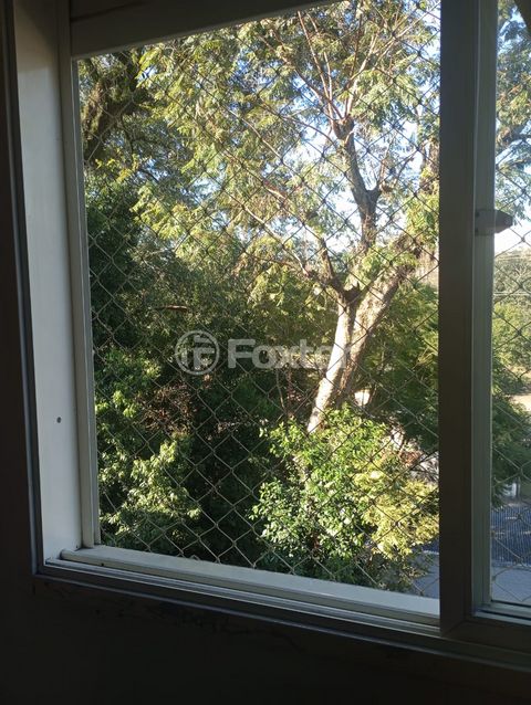 Image 7 - 885569