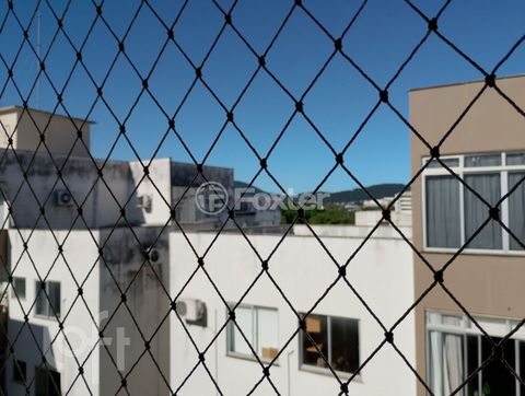 Image 19 - 885986