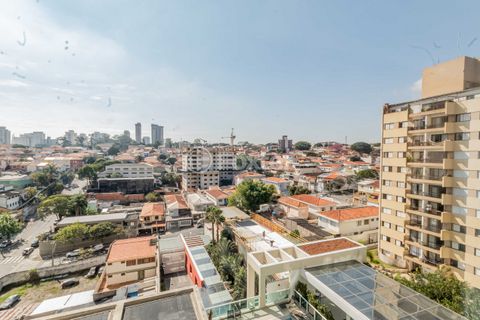 Image 19 - 886036