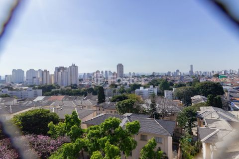 Image 12 - 886181