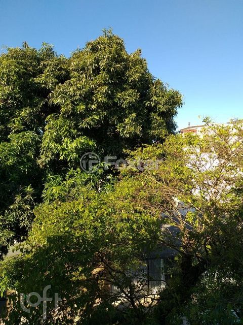 Image 13 - 886342