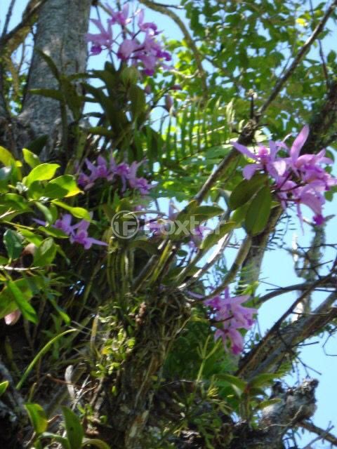 Image 4 - 886431