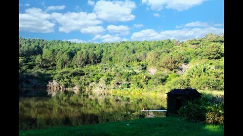 Image 11 - 886431
