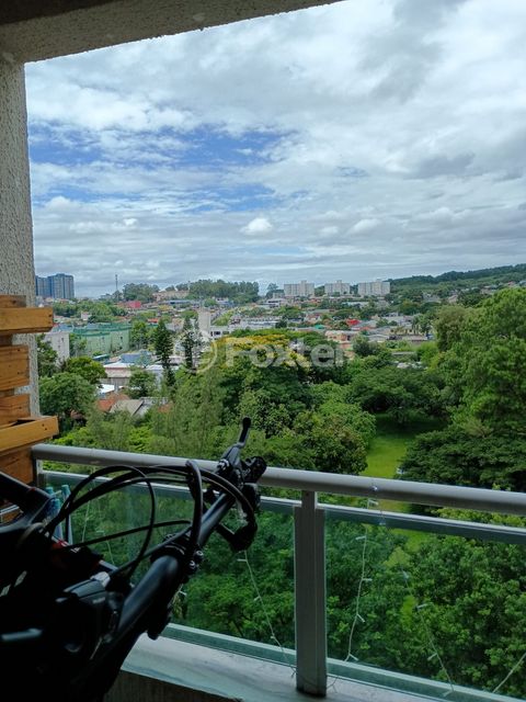 Image 4 - 886471