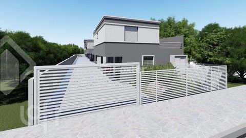 Image 19 - 886550