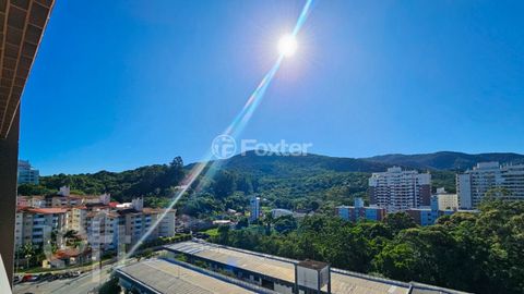 Image 3 - 886565