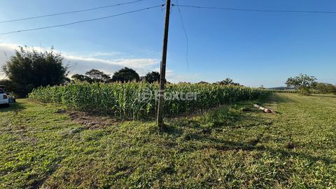 Image 14 - 886996