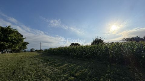 Image 4 - 886996