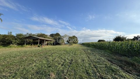 Image 3 - 886996