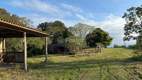 Image 16 - 886996