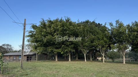 Image 11 - 886996