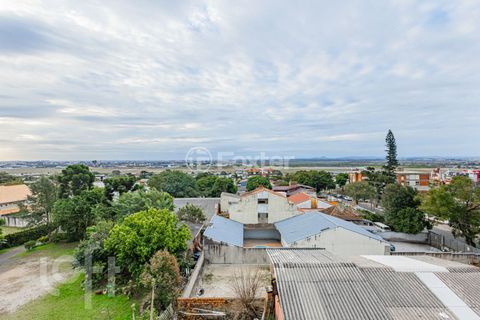 Image 8 - 887126