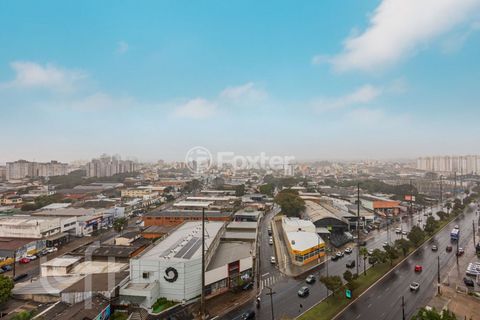 Image 15 - 887138