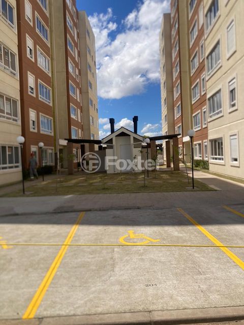 Image 7 - 887306