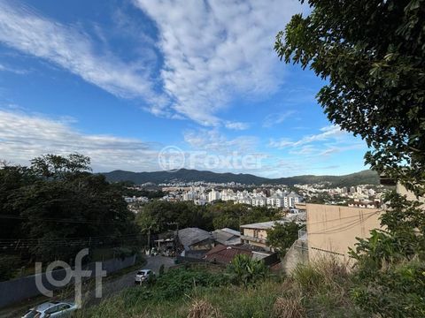 Image 0 - 887408