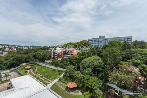 Image 13 - 887484