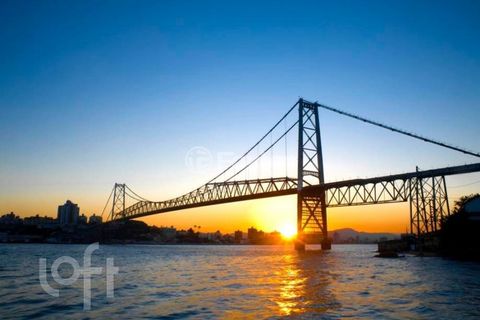 Image 13 - 887829