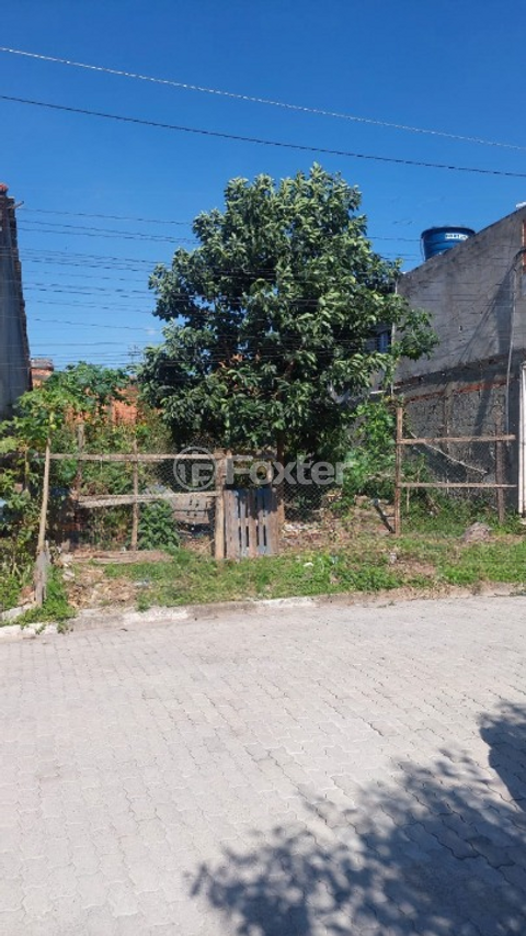 Image 4 - 887869