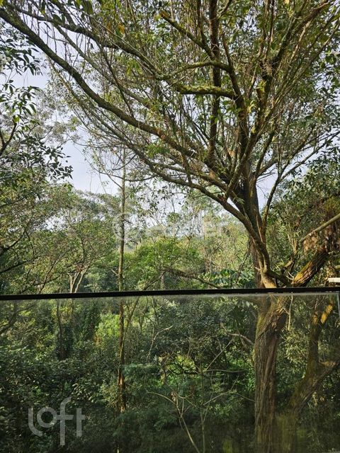 Image 8 - 887883