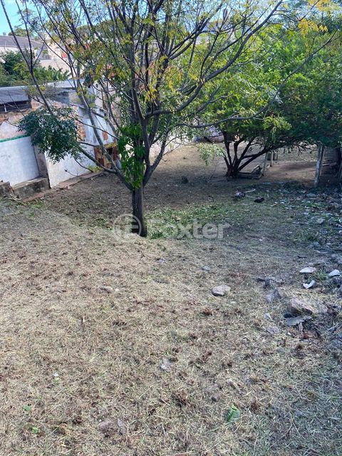Image 4 - 887902