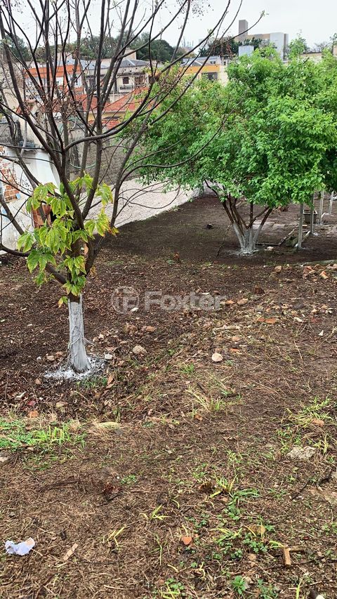 Image 7 - 887902