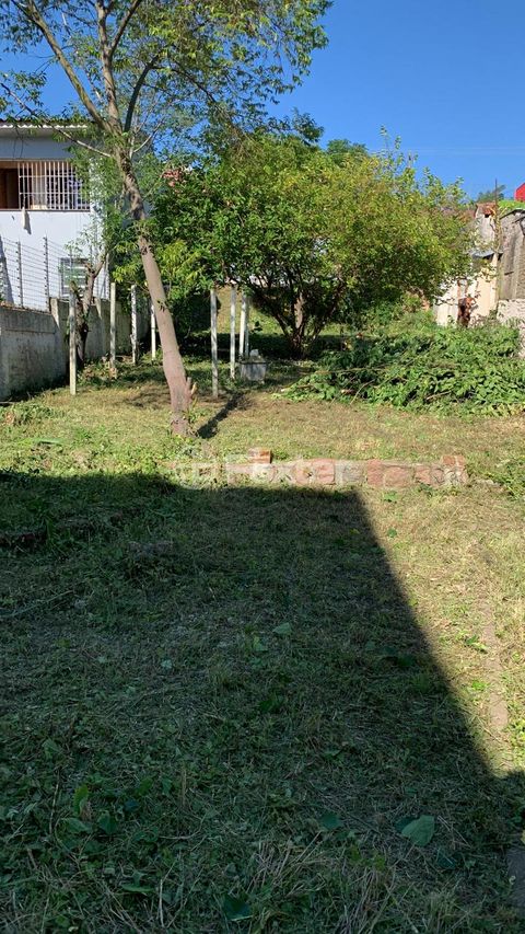 Image 2 - 887902