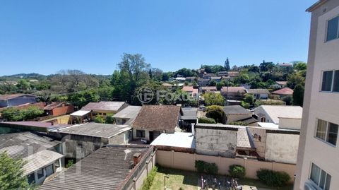 Image 8 - 888052