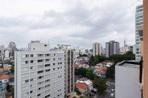 Image 7 - 888498