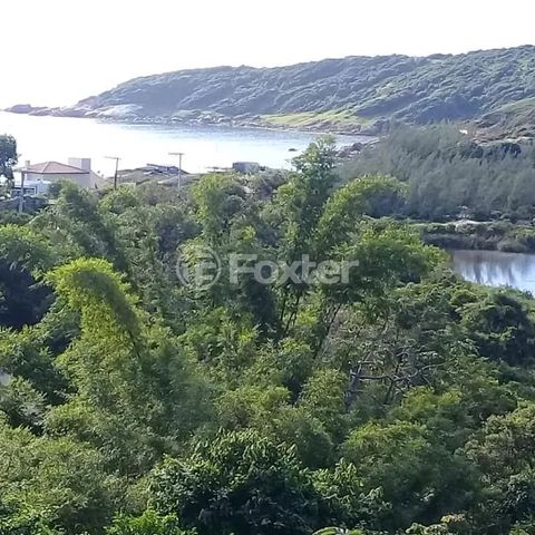 Image 6 - 888554