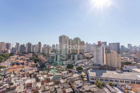 Image 7 - 888595