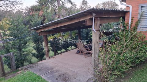 Image 8 - 888782