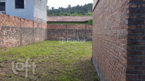 Image 4 - 888863
