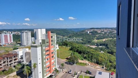 Image 10 - 889010