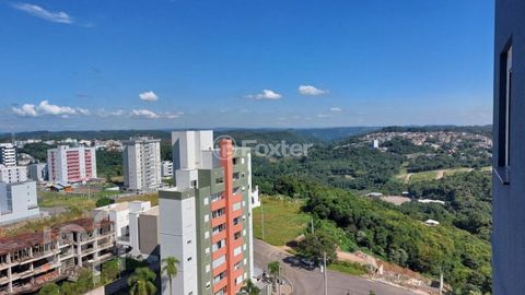 Image 9 - 889010