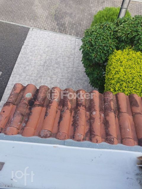 Image 7 - 889217