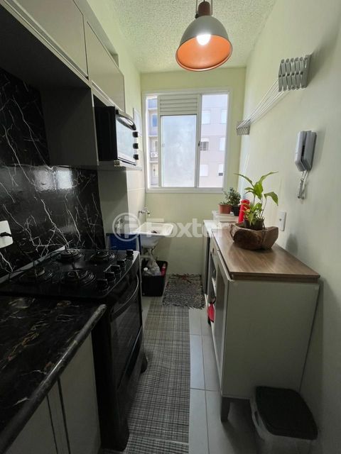 Image 5 - 889253