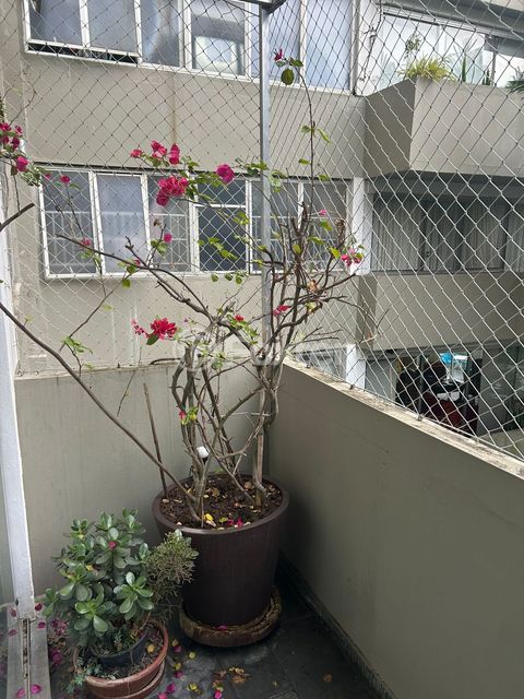 Image 7 - 889350