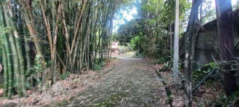Image 6 - 889624