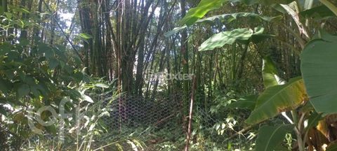 Image 1 - 889624