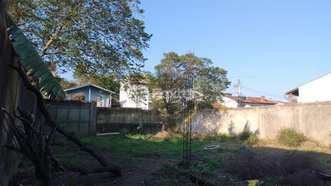 Image 3 - 890060