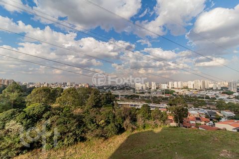 Image 10 - 890061