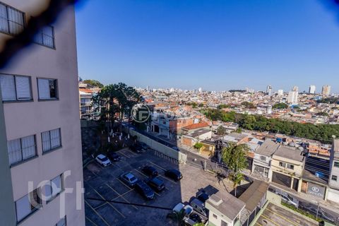 Image 3 - 890268