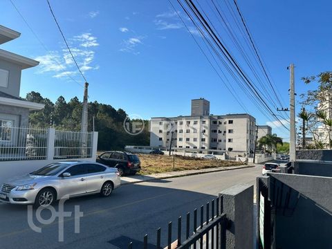 Image 7 - 890317