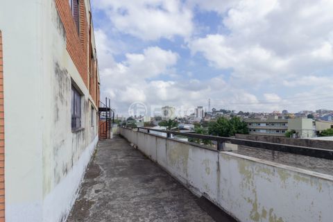 Image 19 - 890394