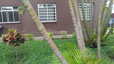 Image 12 - 890564