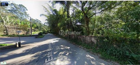 Image 8 - 890647