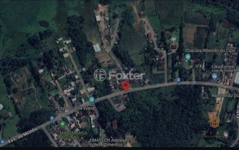 Image 3 - 890647