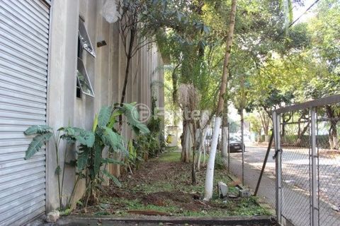 Image 6 - 890651