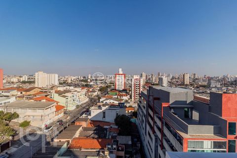 Image 10 - 890826