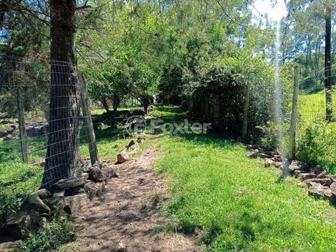 Image 10 - 891435
